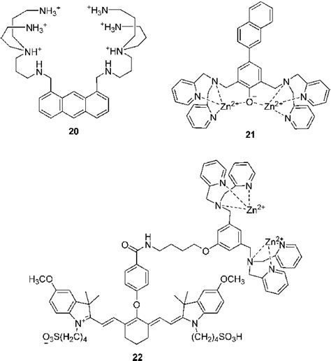 Structures Of The Fluorescent Chemosensors 20 22 Download Scientific