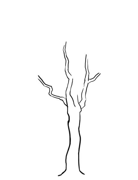 Kako Nacrtati Drvo Slika Kako Nacrtati Drvo 1