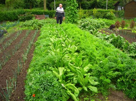 Unco's fertilizer will also improve your soil condition. Best Organic Fertilizer for Vegetables (1680)