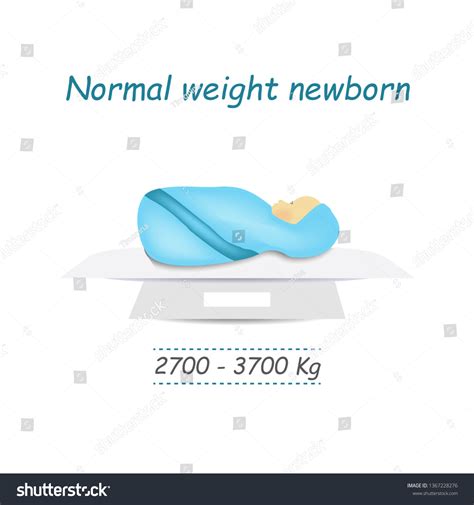 Normal Weight Newborn Baby Infographics Vector Vector De Stock Libre