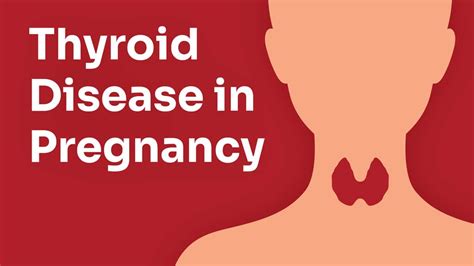 thyroid disease in pregnancy ausmed