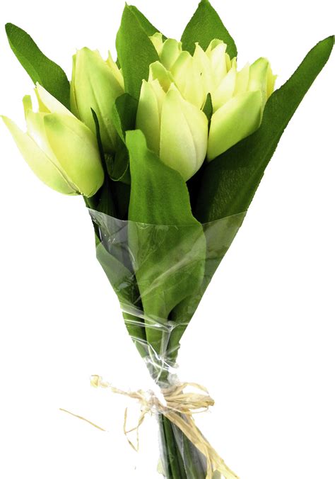 316,199 transparent png illustrations and cipart matching flower. Bouquet Of Flowers PNG Image - PurePNG | Free transparent ...