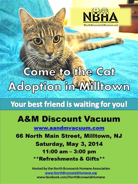 Cat Adoption North Brunswick Humane Association