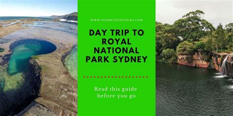 Day Trip To Royal National Park Sydney Sydney Top Tours