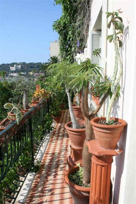 Las plantas y las flores perfectas para el balcón