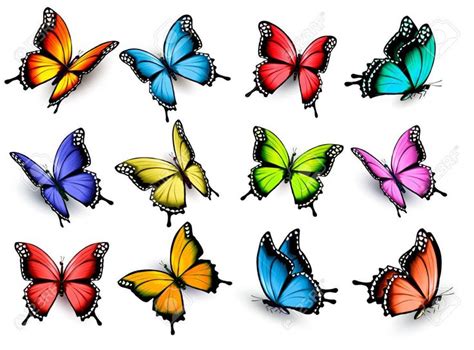 Colecci N De Mariposas De Colores Volando En Diferentes Direcciones