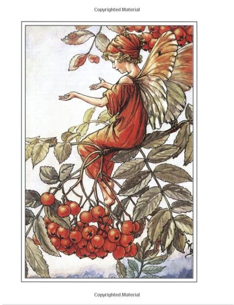 Flower Fairies Of The Autumn Cicely Mary Barker 9780723263173 Amazon