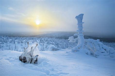 Finnish Lapland Winter Photography Autumn Photography Landscape