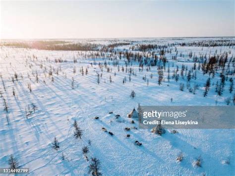 Siberia Tundra Photos And Premium High Res Pictures Getty Images