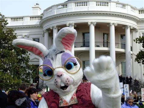 Fileeaster Bunny At White House Easter Egg Roll On March 24 2008