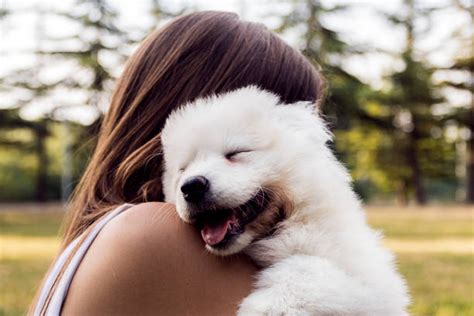 Hairy Girl Fotos Bilder Und Stockfotos Istock