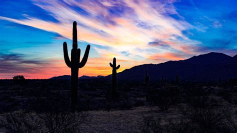 Cacti Sunset Desert Clouds Picture Photo Desktop Wallpaper