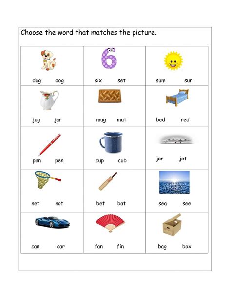 matching correct cvc words  pictures worksheet
