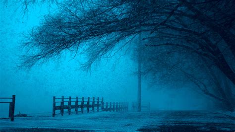 528685 3840x2160 Cold Dark Eerie Fear Fence Fog Foggy Frozen