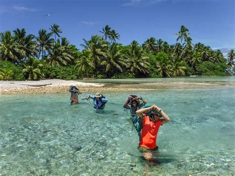 Trekking Through The Shallows Location Palmyra Atoll Lin Flickr