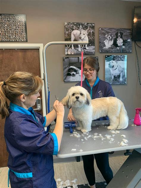 Mobile Pet Grooming Raleigh Nc at Stephanie Greer blog