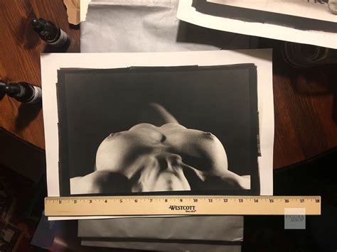 Nude Palladium Print Nikola No 70730 8x12