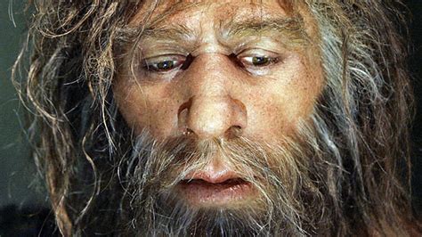 Modern humans are still carrying Neanderthal viruses
