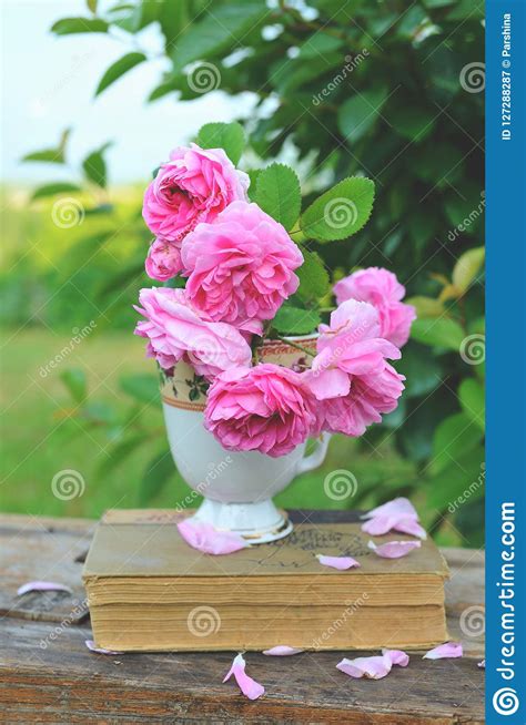 Still Life With Roses Stock Image Image Of Bunch Book 127288287