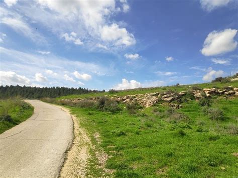 Elah Valley Beit Shemesh 2020 All You Need To Know Before You Go