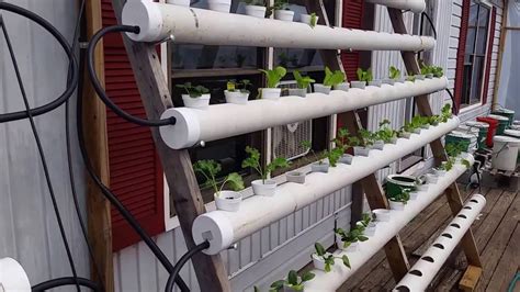 Diy hydroponics is a perfect way to grow fresh vegetables at your own place. Pvc Hydroponic Garden - Garden Ftempo