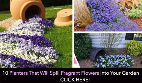 Be smart before you plant seeds to die. 27 Super Cool Backyard Garden Ideas (PHOTOS)