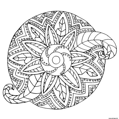 Coloriage Mandala Adulte Fleur Vegetal JeColorie Com