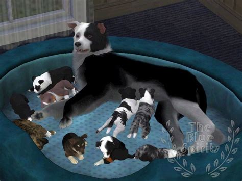 The Sims 4 Cats And Dogs Mod More In A Litter Healthmaxb