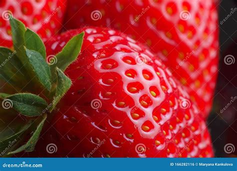 Beautiful Strawberry Closeup Macro Image Of Fresh Strawberries Stock