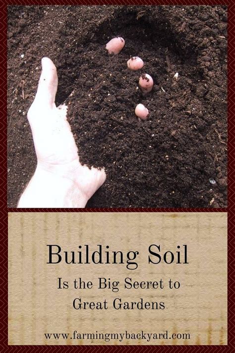 Learn To Garden In A Way That Builds Soil For Healthy Nutrient Dense