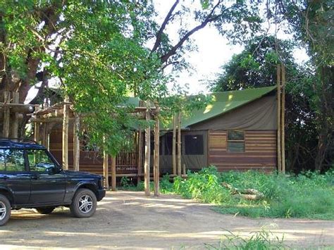 Limpopo Forest Tented Camp Mapungubwe National Park Afrique Tarifs