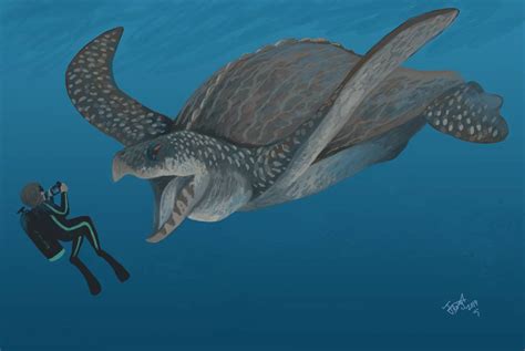 Archelon One Of The Largest Turtle To Ever Exist From The Late