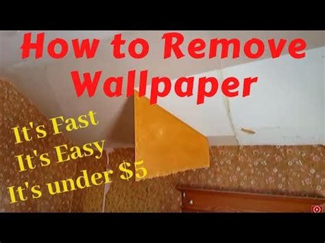 Another method you can try to break the molecular bonds that hold objects together without damaging the material is to freeze the material. How to Remove Wallpaper with Water and Vinegar - YouTube