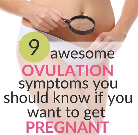 Symptoms Leading Up To Ovulation