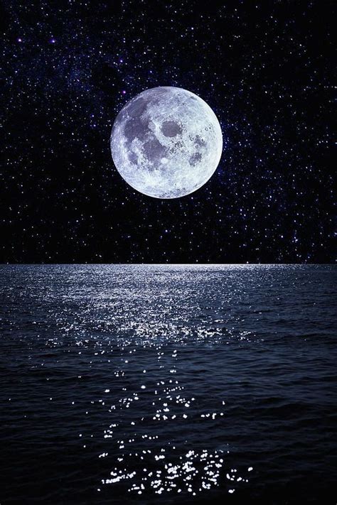 Full Moon Night Scenery