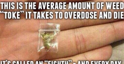 These Memes Highlight An Undeniable Fact About Weed Attn