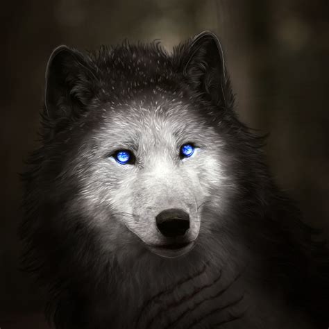 Wolf Forum Avatar Profile Photo Id 169747 Avatar Abyss