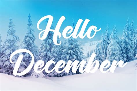Hello December Lettering Design New Year And Christmas Celebrat Stock