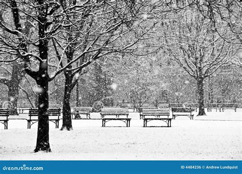 Beautiful Peaceful Scene Of A Park During A Winter Royalty Free Stock