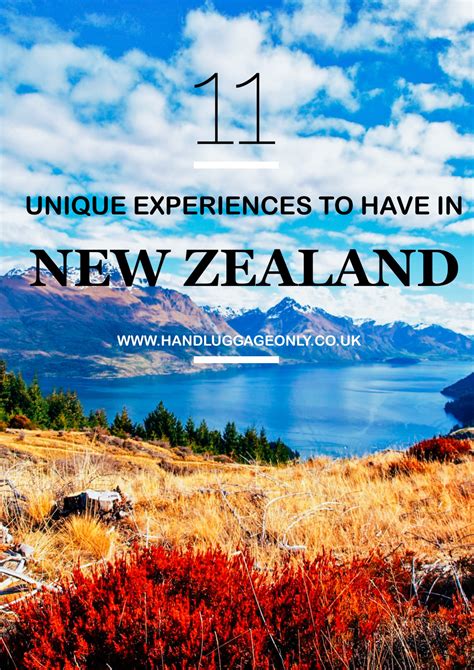 11 Unique Experiences You Need To Have In New Zealand Hand Luggage