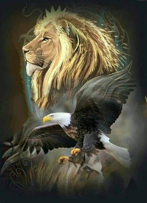 Pin By Liza Engelbrecht On Lion And Eagle Lion Pictures Lion