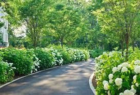 Interesting Long Driveway Landscaping Design Ideas 13 Driveway Entrance