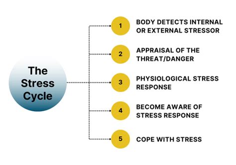 The Stress Cycle Gateway Behavioral Health Consultants
