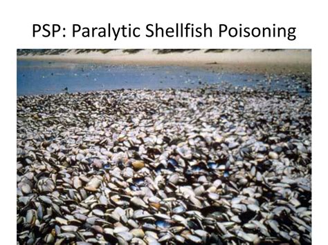 Ppt Harmful Algal Blooms Hab S Powerpoint Presentation Free