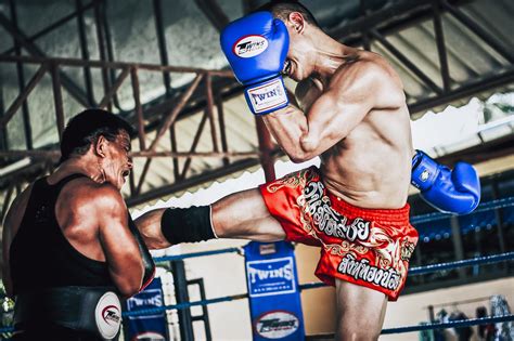 tiger muay thai camp in phuket mixed martial arts excellence in chalong go guides