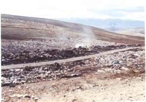 Wastes Disposal Around The Road And Waste Burning In Landfill Site Download Scientific Diagram