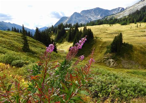 Contact Us Whitecap Alpine Winter And Summer Mountain Adventures