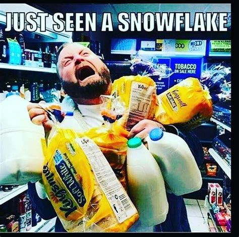 Pin By Crystal Hadley On Pure Michigan Funny Weather Snow Meme