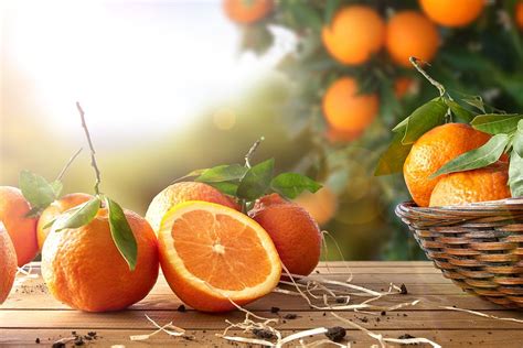 Pomarańcza - właściwości i wartości odżywcze. Dlaczego warto jeść ten owoc?