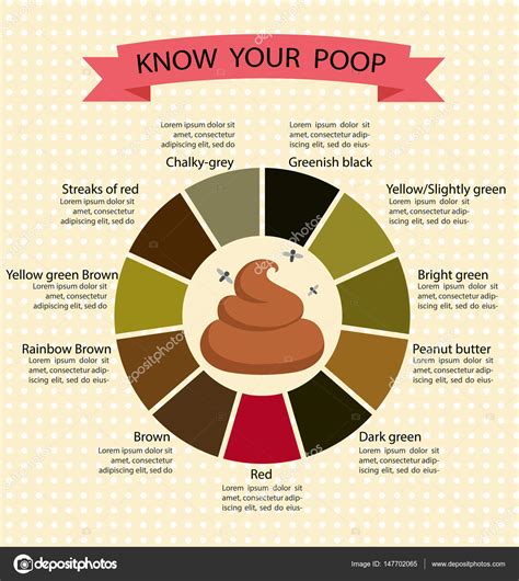 What Do The Different Poop Colors And Shapes Mean 2023 Color Of Your